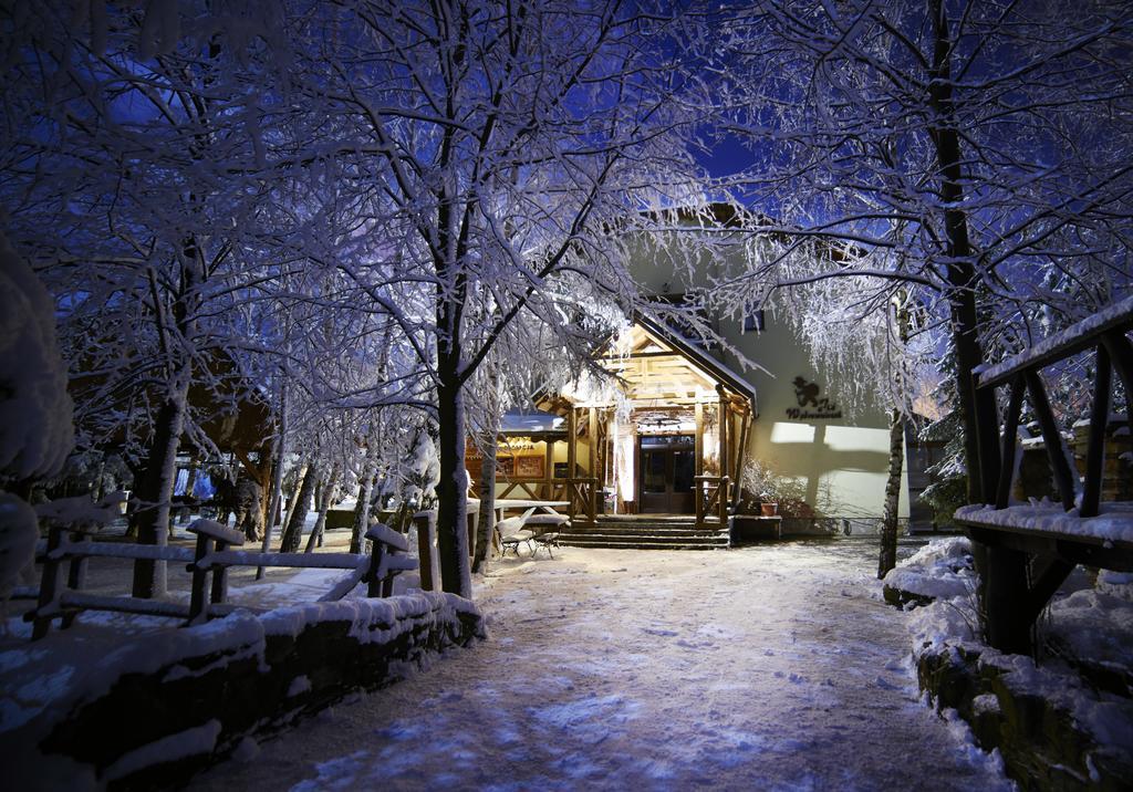 Hotel Restauracja Jas Wedrowniczek Rymanow Экстерьер фото